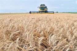 Ukraine-Bulgaria đạt thỏa thuận vận chuyển ngũ cốc qua cảng Varna
