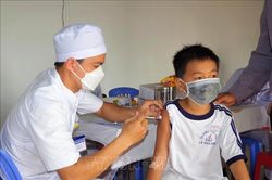 Thứ trưởng Bộ Y tế: Việt Nam chưa coi COVID-19 là bệnh lưu hành