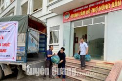 Kết nối, hỗ trợ nông dân tiêu thụ dưa chuột