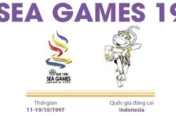 Thông tin về Đại hội thể thao Đông Nam Á lần thứ 19 (SEA Games 19)