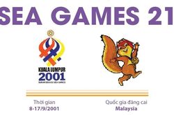 Thông tin về Đại hội thể thao Đông Nam Á lần thứ 21 (SEA Games 21)