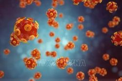 Virus có thể là nguyên nhân gây bệnh viêm gan bí ẩn ở trẻ em