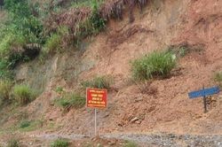 Quảng Nam lý giải nguyên nhân giảm 2.850 ha rừng tự nhiên trong một năm