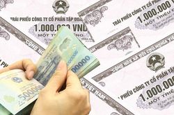 Kiểm tra hoạt động phát hành trái phiếu riêng lẻ tại các công ty chứng khoán