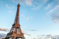 Pháp: Hàng chục nghìn người phản đối tái cải tạo quanh tháp Eiffel, trong đó có việc... chặt cây