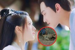 Thả Thí Thiên Hạ lại bất ngờ bị khán giả tố ngược đãi động vật