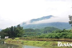 Về nguồn…