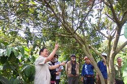 Tập huấn kỹ thuật trồng, chăm sóc cây mắc ca tại huyện Đak Đoa