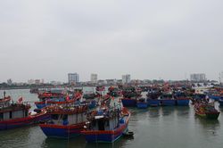 Điểm tựa giúp ngư dân vươn khơi bám biển