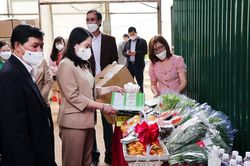 Nông nghiệp Lâm Đồng qua 4 giai đoạn công nghiệp hóa, hiện đại hóa