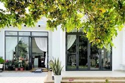 Cải tạo nhà cấp 4 thành biệt thự vườn đẹp như mơ