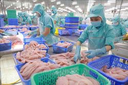 Việt Nam xuất siêu 2,53 tỷ USD trong 4 tháng đầu năm