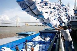 Tư vấn xuất khẩu gạo sang thị trường ASEAN