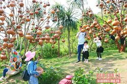 Sơn La đón 125.000 lượt khách trong dịp nghỉ lễ
