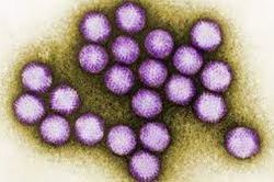 Bệnh viêm gan bí ẩn lan ra 12 bang ở Mỹ