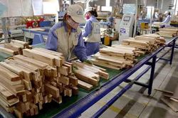 'Cú huých' cho ngành gỗ từ logistics