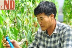 Trở thành một mắt xích trong chuỗi giá trị