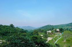 'Mỏi mắt' ngắm trang trại 10.000m2 của ca sĩ Việt Hoàn