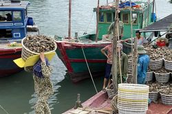 Xuất khẩu nông sản tiếp tục là điểm sáng