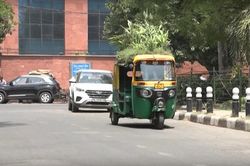 Độc đáo 'vườn cây tránh nóng' trên nóc xe lam tại Ấn Độ