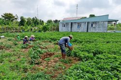 Đảm bảo tăng trưởng ngành nông nghiệp