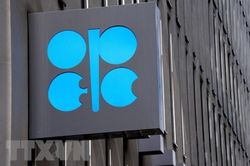 Tổng Thư ký OPEC: Không thể thay thế nguồn cung dầu mỏ của NgaTin khácLễ hội Kỳ Hoa: Dư âm vọng mãi47 năm sau Ngày giải phóng miền Nam, thống nhất đất nước
