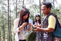 Lâm Đồng tạm ngừng nhận hồ sơ thuê môi trường rừng kinh doanh du lịch