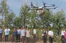 Nông dân miền Tây ưa dùng thiết bị bay trong sản xuất nông nghiệp