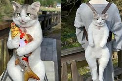 Ba lô mèo giống y như thật được săn lùng hơn hàng hiệu