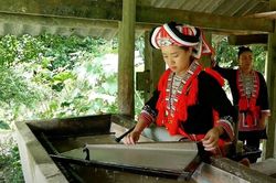 Giấy bản - Nghề truyền thống độc đáo của đồng bào Dao đỏ