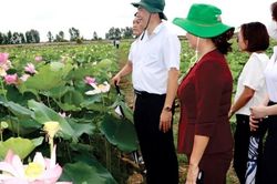 Đồng Tháp lần đầu tiên tổ chức Lễ hội Sen