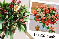 Chợ hoa online tấp nập set hoa thủy tiên, chị em bỏ 54k được 10 cành trang trí nhà cửa xinh tươi