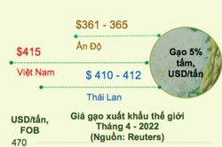 So kè gạo Việt Nam với các đối thủ cạnh tranh