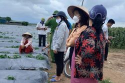 Nữ giáo viên và 2 con mất tích ở bờ sông
