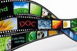Cấm xuất, nhập khẩu văn hóa phẩm xúc phạm vĩ nhân, anh hùng dân tộc
