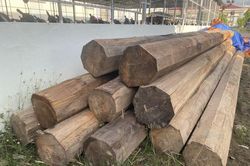 Gia Lai: Khai thác gỗ về làm nhà, bị Công an tịch thu tang vật, phương tiện