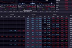 Gần nửa rổ VN30 giảm hết biên độ, Vn-Index trượt dốc không phanh
