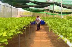 Nâng cao hiệu quả kinh tế hợp tác xã