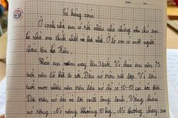 Bài văn tả về hàng xóm chân thật 'đầu chỉ có 10 - 15 cái tóc' khiến ai cũng phải bật cười