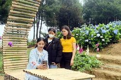 Pu Pha Đin - nơi trải nghiệm hấp dẫn