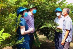 Hiệu quả Quỹ hỗ trợ nông dân