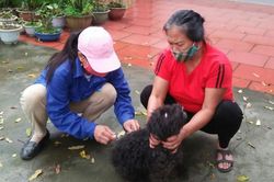 Khó khăn trong tiêm phòng bệnh dại ở Mường Khương