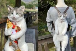 Tại sao món đồ này của bà nội trợ tuy đắt đỏ nhưng lại gây bão?