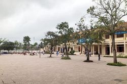 Diễn Châu đình chỉ dạy học đối với giáo viên lớp 3 đánh học sinh