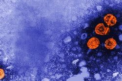 Tìm hiểu mối liên hệ giữa COVID-19 với bệnh viêm gan bí ẩn ở trẻ em