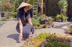 Biệt thự vườn của Hà Thanh Xuân trước khi thành vợ 'Vua cá Koi'