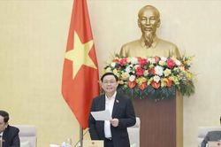 Thị trường chứng khoán quá bất thường: Xử lý thao túng, làm giá thế nào?