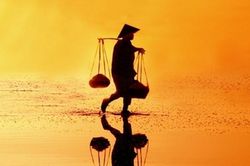 Về quê thăm bố mẹ, đến lúc đi, nghe mẹ nói một câu khiến tôi ứa nước mắt