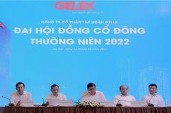 GELEX đặt kế hoạch lãi hợp nhất 2.618 tỷ đồng