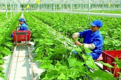 Thêm nguồn lực cho mục tiêu tăng trưởng kinh tế xanh